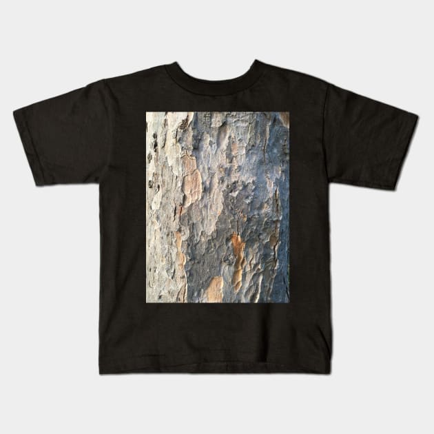 Bark - Plane #2 Kids T-Shirt by Dpe1974